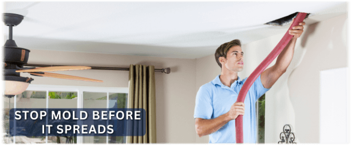 Air Duct Mold Removal in Gary IN